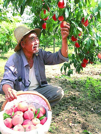 老汉乐了