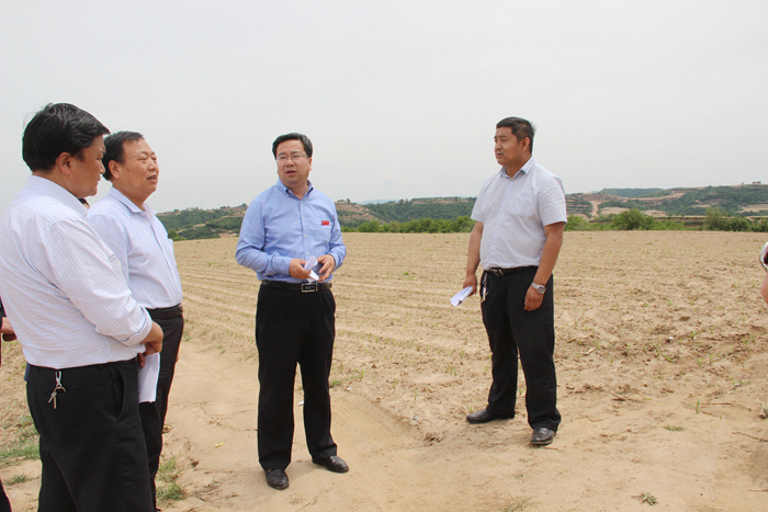 曹全虎现场踏勘生态循环农业产业化项目选址工作_铜川市人民政府