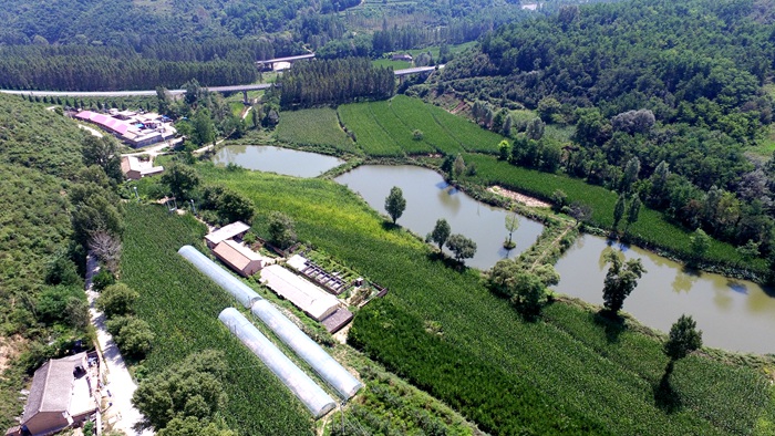 美丽乡村文明家园榆树湾村