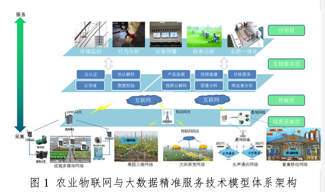 星空中国体育网站农业物联网与大数据服务技术