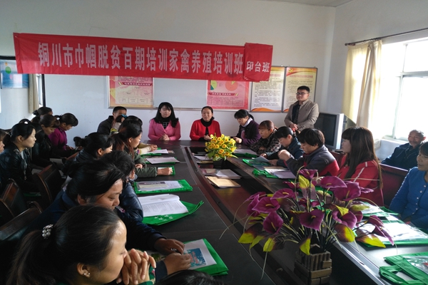 区妇联举办“家禽”园林养殖培训助力精准扶贫开班仪式.jpg