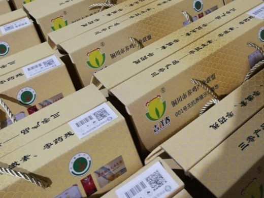 2f6fa2c15e87bb760c605469474d72e_副本.jpg