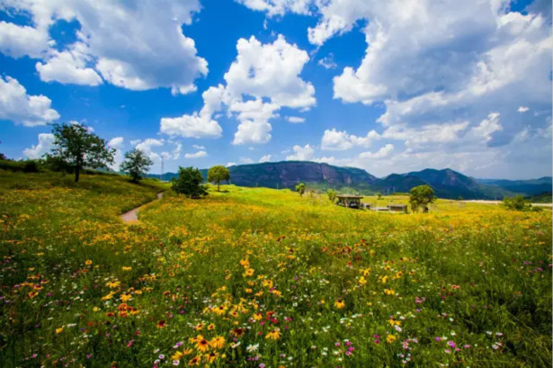 六月  照金祝你身伴彩虹