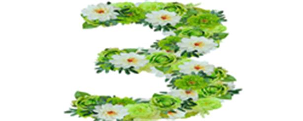 照金纪念馆3月消息集锦