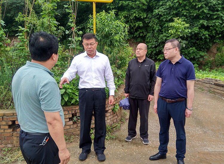 宋桂合检查地质灾害防治工作_铜川市人民政府